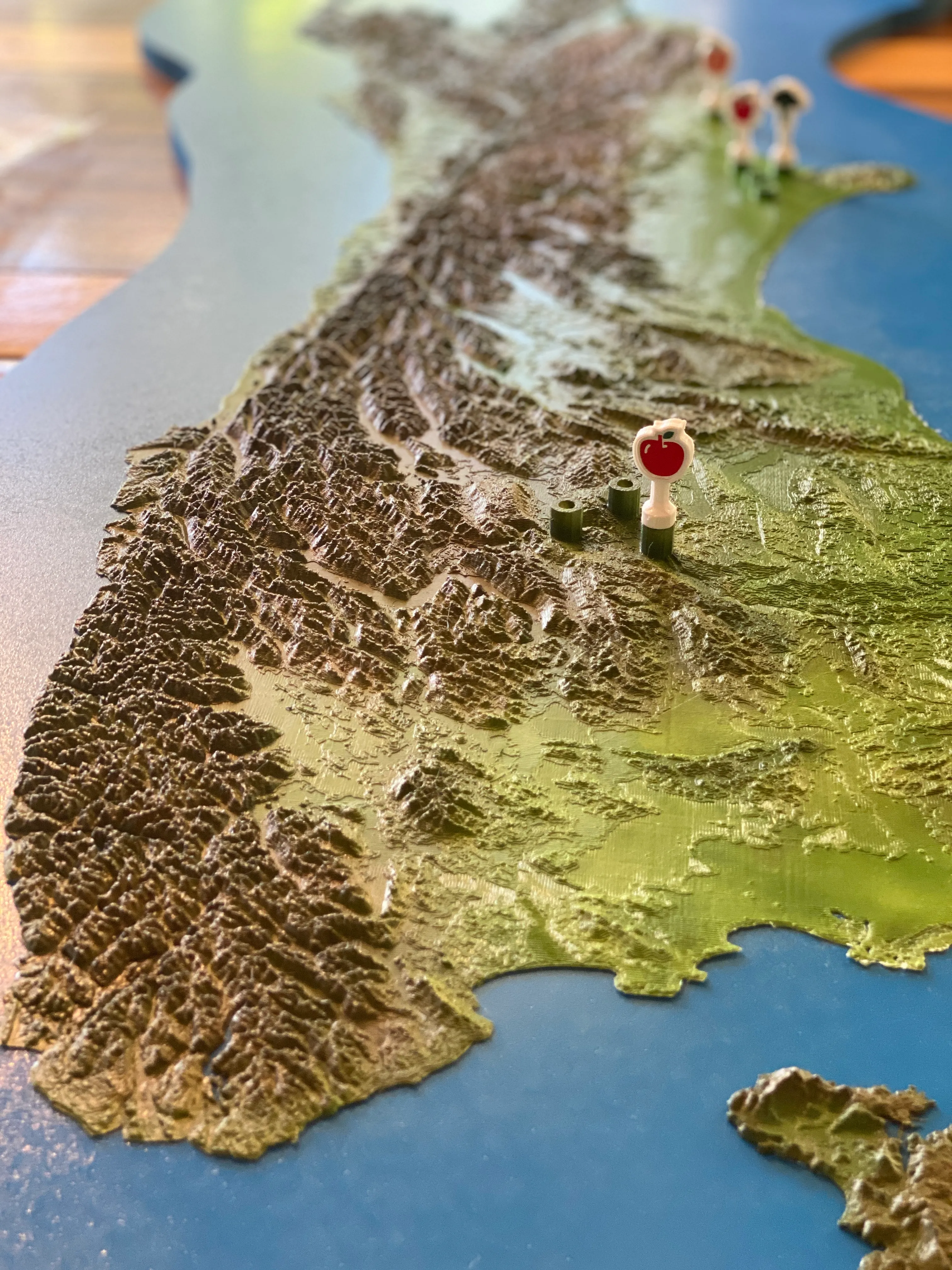 Made for client by 3D Print ChCH . Image copyright 3D Print Christchurch